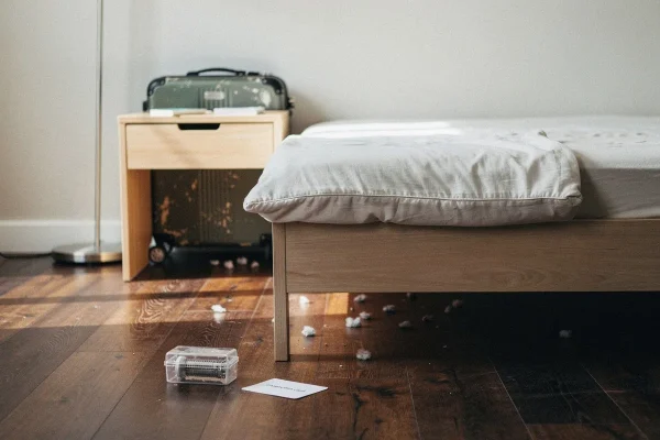 Šis specifinis kvapas gali reikšti, kad miegamajame turite blakių